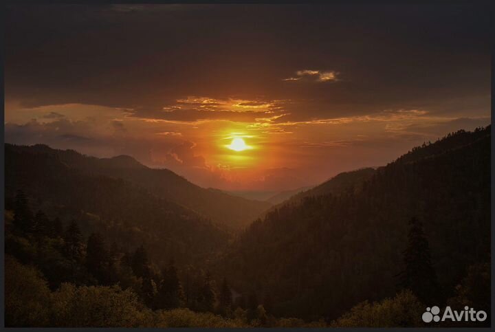 Canon eos 5D mark iv 45 тыс. кадров