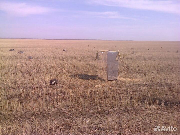 Зеркальный скрадок