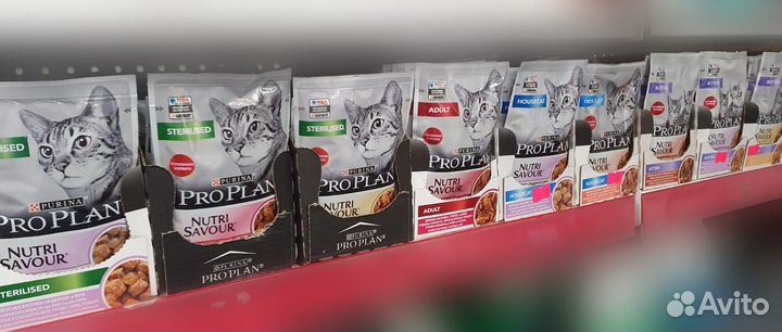 Влажный корм для кошек Pro Plan