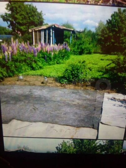 Участок 6 сот. (СНТ, ДНП)