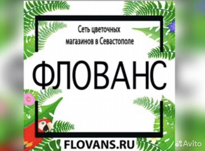 Менеджер оператор в цветочный магазин