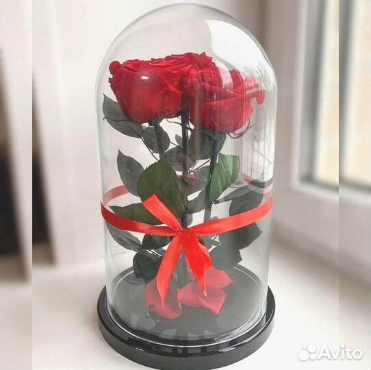 Розы в колбе на выбор