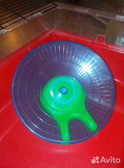 Колеса и домики для грызунов