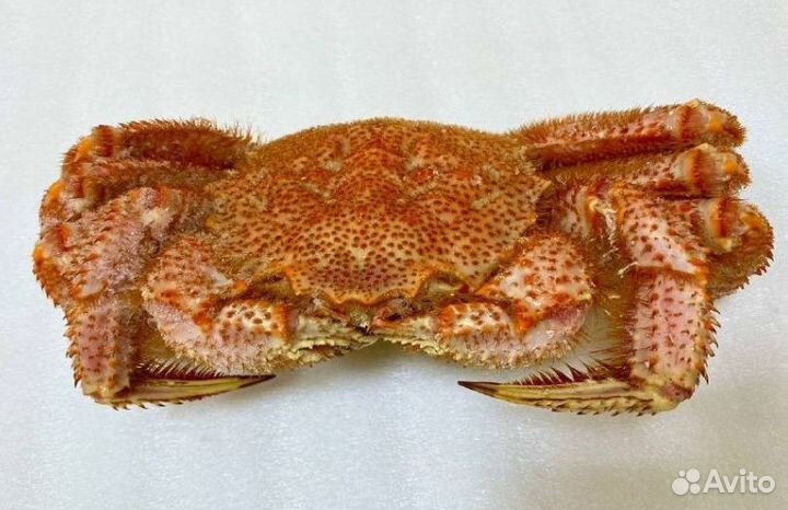 Икра, краб, креветка, рыба, морепродукты оптом