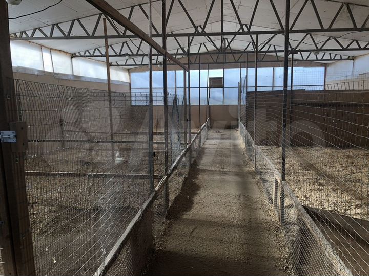 Участок 1,6 га (СНТ, ДНП)