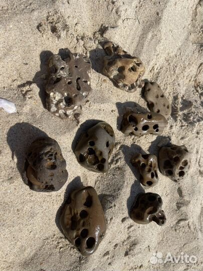 Морские камни для аквариума террариума бонсай