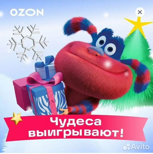 Пвз ozon