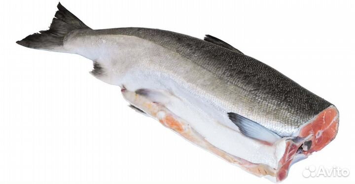 Рыба горбуша потрошеная без головы