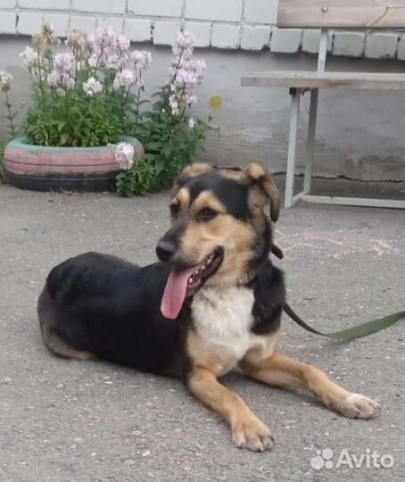 Джуля