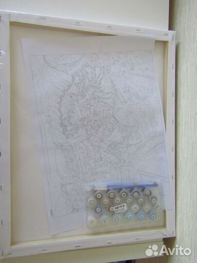 Картина по номерам. Не раскрашенная