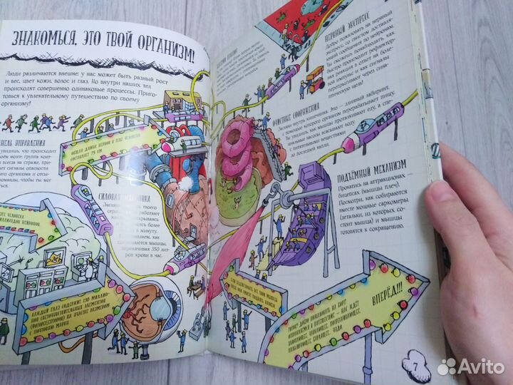 Книга Большое путешествие по телу человека