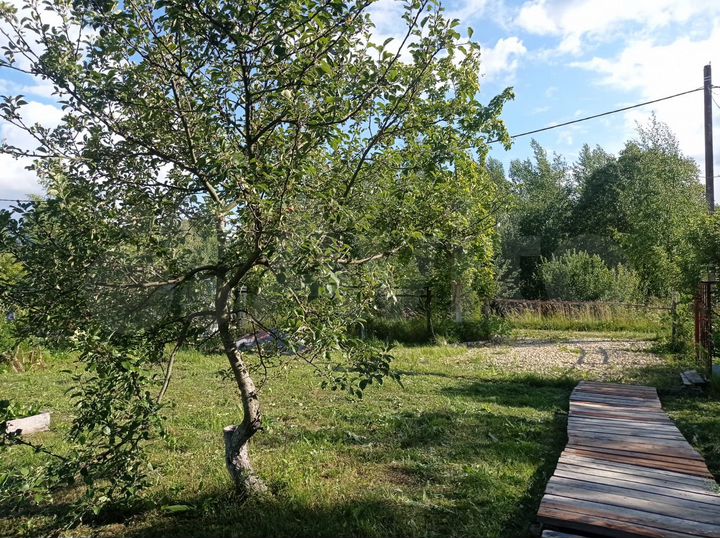 Участок 12 сот. (СНТ, ДНП)