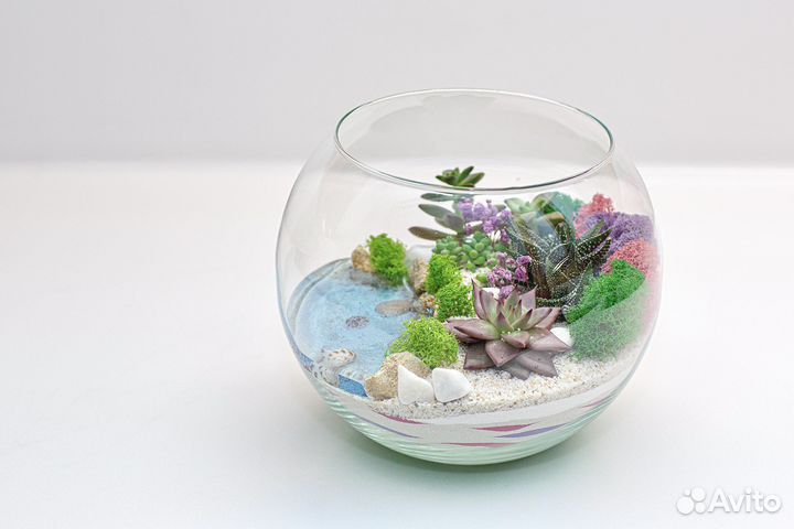 Флорариум из суккулентов
