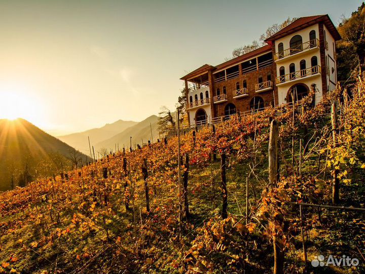 Экскурсия — Батуми — В гостях у винодела: винно-га