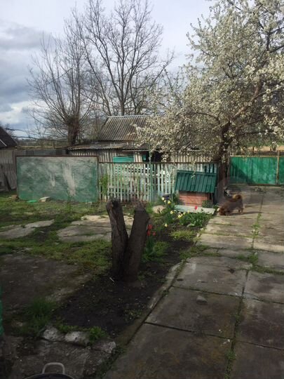 Дом 63,7 м² на участке 12 га