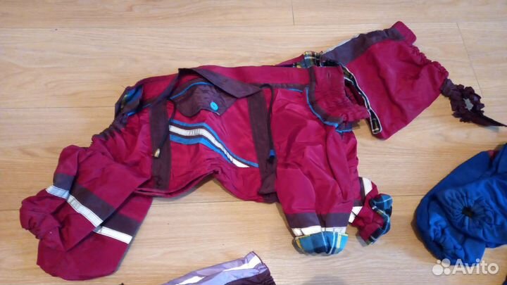 Комбинезоны и принадлежности для собак