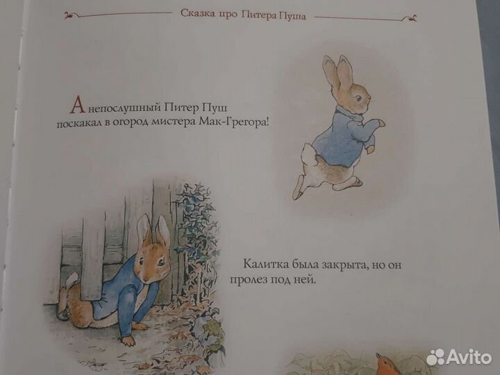 Книга 