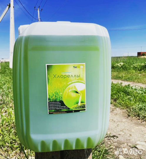 Хлорелла для водоёма