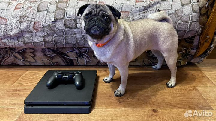 Sony ps4 slim 1 tb прошивка 9.00. Игры