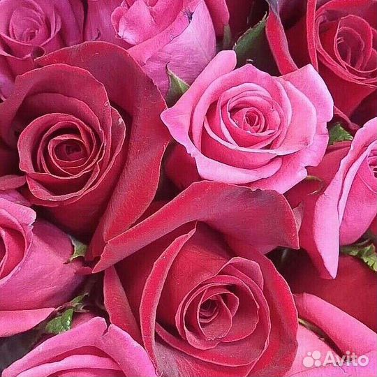 Специалист пункта выдачи заказов