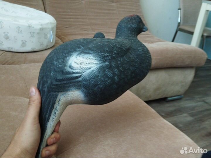 Чучело тетерева