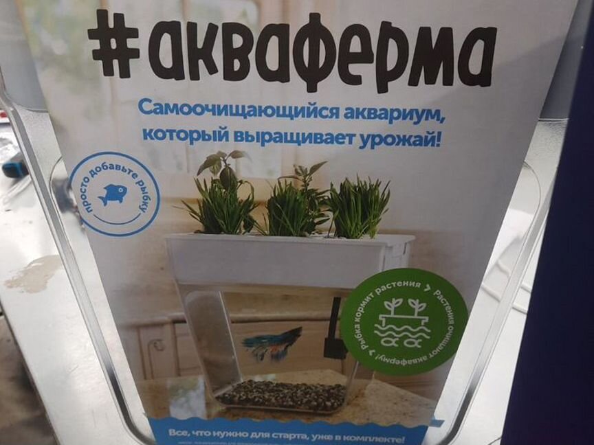 Акваферма