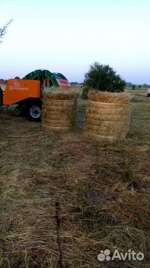Сено Солома Ячменная продажа