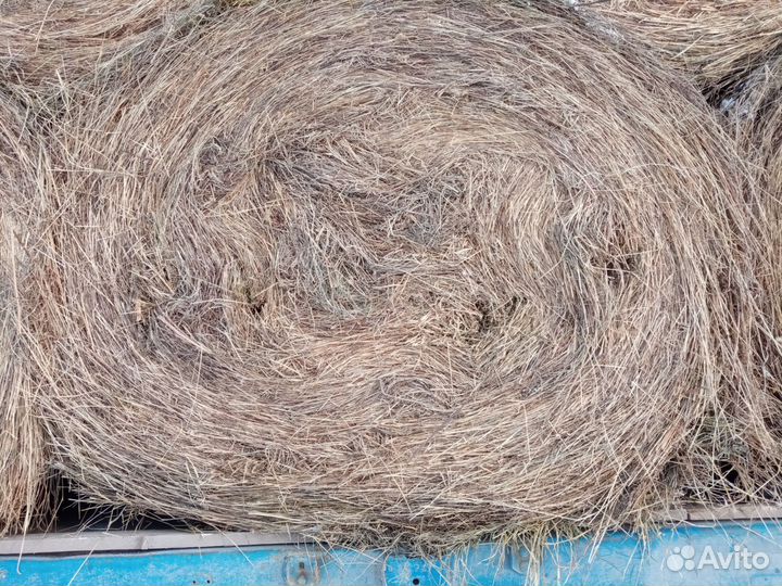 Сено в рулонах