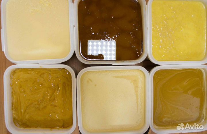 Мёд натуральный алтайский опт