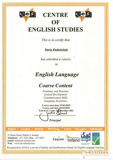 Репетитор по английскому онлайн и на дому/перевод