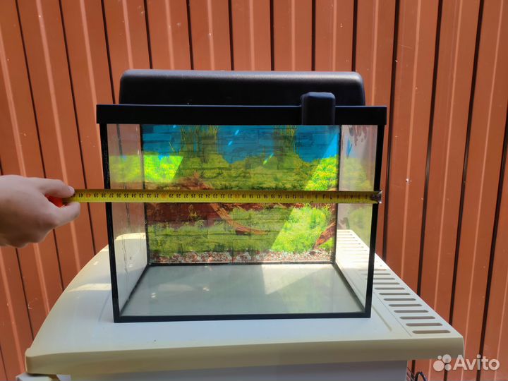 Аквариум