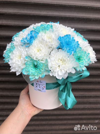 Хризантемы в боксе