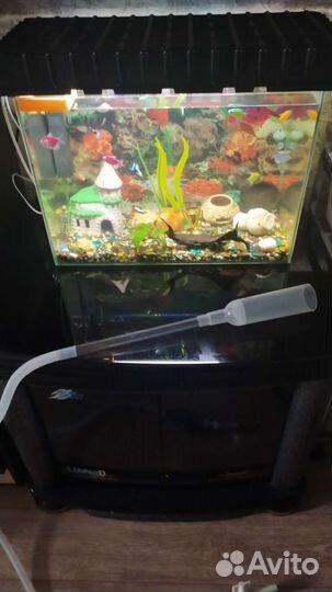 Аквариум с тумбой рыбками фильтром ситом всем на ф