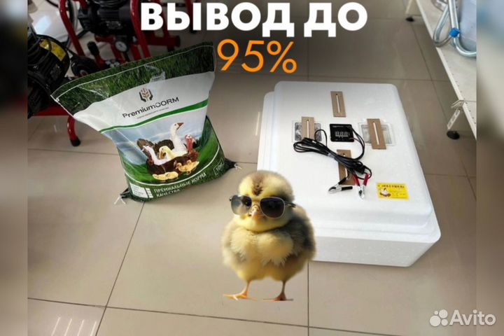 Инкубатор автоматический на 77 яиц