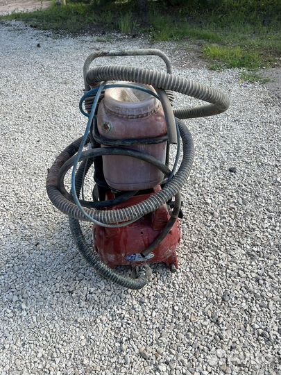 Краскопуль наспиный