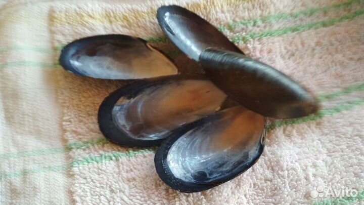 Товары для творчества