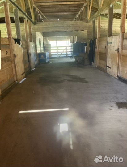 Постой лошадей