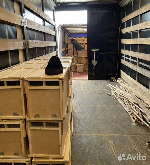 Пчелопакеты в 2024 год с Краснодарского края