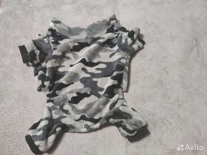 Одежда для собак