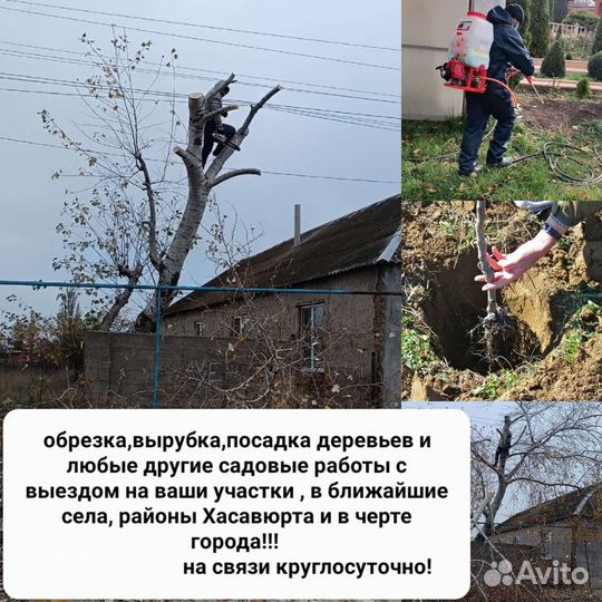 Обрезка и вырубка деревьев