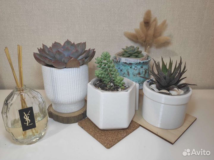 Горшочки для суккулентов