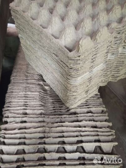 Ячейки для яиц