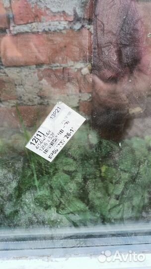 Балконный блок с дверью бу