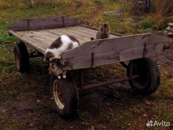 Телега для лошади