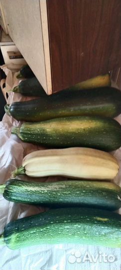 Продам картофель и кабачки