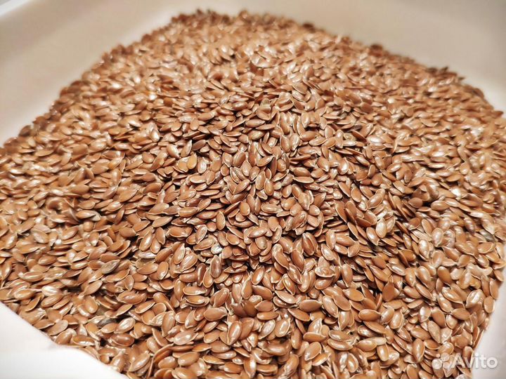 Семена льна