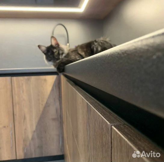 Кухня Кухонный гарнитур от производителя