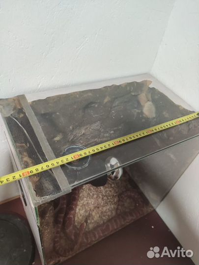 Террариум для рептилий