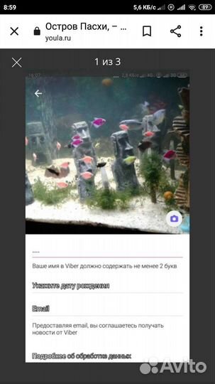 Декор