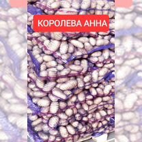 Картофель на зиму,Морковь, Свёкла, Лук,Капуста